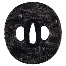 Dragon Shakudo Satsuma Tsuba with NBTHK Tokubetsu Hozon Tosogu + Fuchikashira