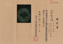 Dragon Shakudo Satsuma Tsuba with NBTHK Tokubetsu Hozon Tosogu + Fuchikashira