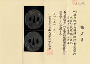 Iron Tanaka Toryusai School Tsuba with NBTHK Hozon Tosogu - Decorated with Plovers and Waves