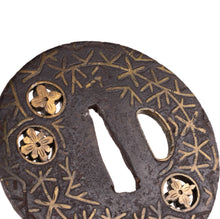 Iron Mon Sukashi Heianjo School Tsuba