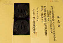 Iron Tsuba Signed "Bushu Ju Senryusai Tsuneyasu" with NBTHK Hozon Tosogu - Mandarin Duck